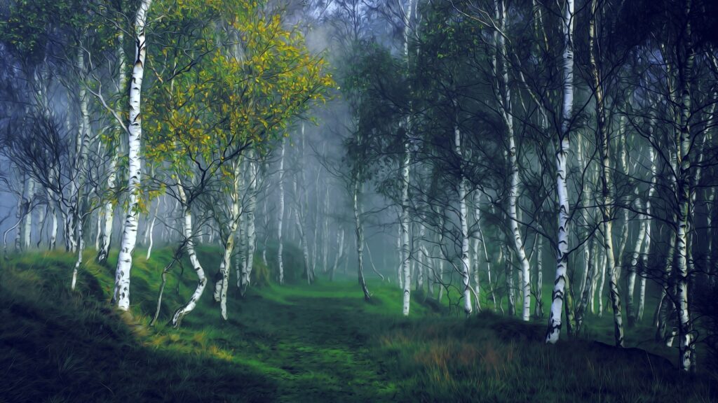 Bosvolleven - Bosbaden regio Den Bosch