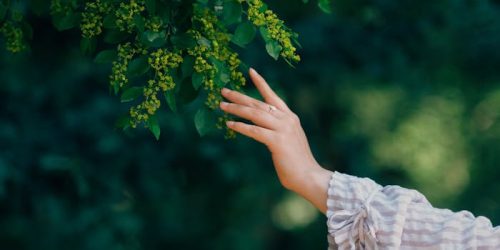 Bosvolleven - Waar kan bosbaden bij helpen?